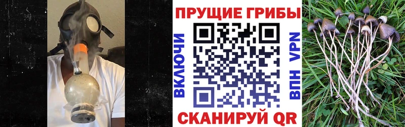 shop официальный сайт  Харабали  Псилоцибиновые грибы MAGIC MUSHROOMS 